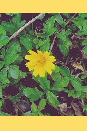 ปกนิยาย Fic NCT : 18818 (Jungten)