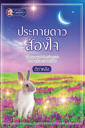 ปกนิยาย ประกายดาวส่องใจ