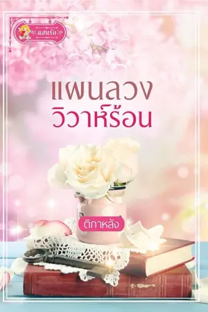 ปกนิยาย