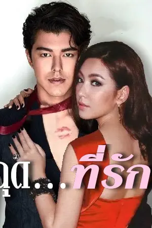 ปกนิยาย ฉุด...ที่รัก ( Coming Soon)