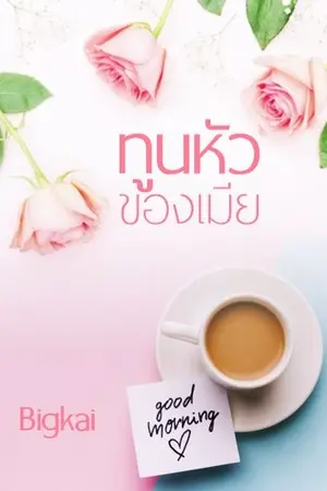 ปกนิยาย