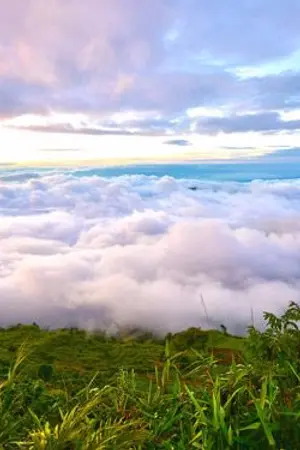 ปกนิยาย ตำนานจักรพรรดินีแห่งธอเทียร์