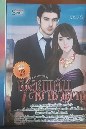 ปกนิยาย