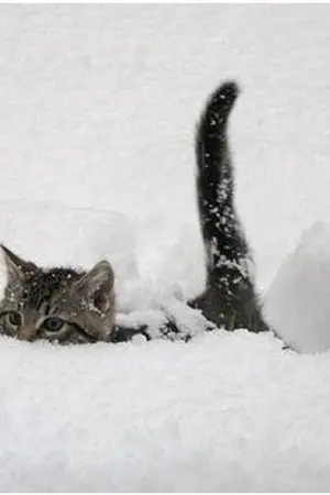 ปกนิยาย ลองโค้ดด - อย่ายุุ่งงง -