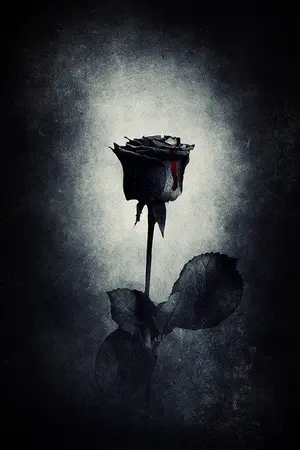 ปกนิยาย {Black Rose} (OcxCreepyPasta)