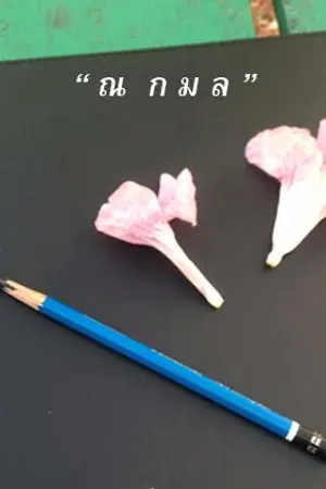 ปกนิยาย หนึ่งตะวัน กับ จันทร์เจ้า