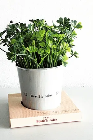 ปกนิยาย tree พี่ีต้นไม้