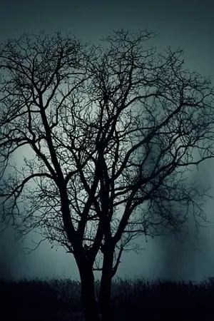 ปกนิยาย เส้นทางสู่ราชันย์แห่งเทพเจ้า