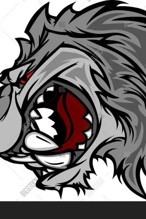 ปกนิยาย พิชิตดินแดนราชันย์