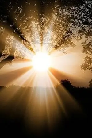 ปกนิยาย อาทิตย์ของเกล้า // Yaoi //