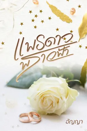 ปกนิยาย แพรดาว พราวฟ้า