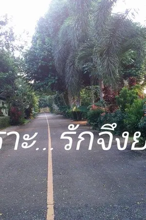 ปกนิยาย เพราะ...รักจึงยอม