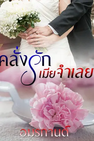 ปกนิยาย