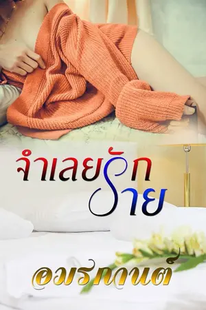 ปกนิยาย