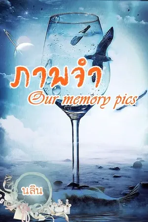 ปกนิยาย ภาพจำ (Our memory pics)