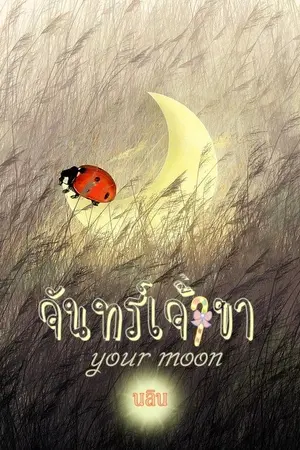 ปกนิยาย จันทร์เจ้าขา your moon