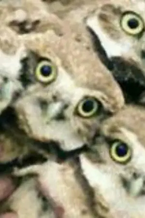 ปกนิยาย [Fanfic identity V]รวมเรื่องสั้นตามใจฉัน