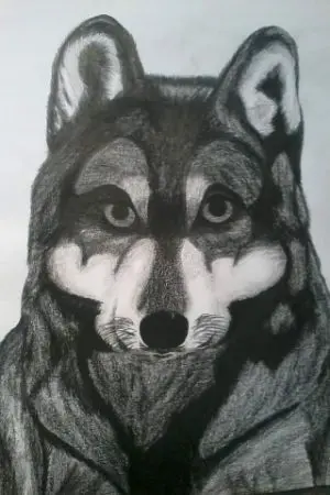 ปกนิยาย อัศวินหมาป่าสีเงิน