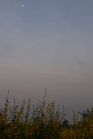 ปกนิยาย มัจจุราชชี้รัก