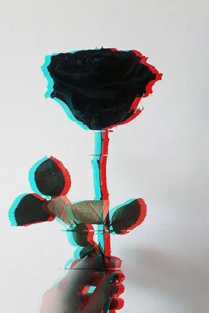 ปกนิยาย เมรัยรัชตะ