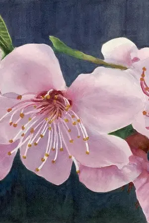 ปกนิยาย Peach Blossom {Final Fantasy 7 x OC}