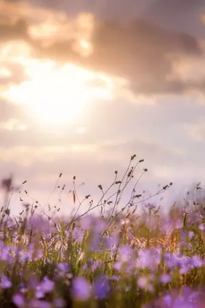 ปกนิยาย Unfortunate love​