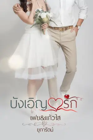 ปกนิยาย บังเอิญ♥️รัก