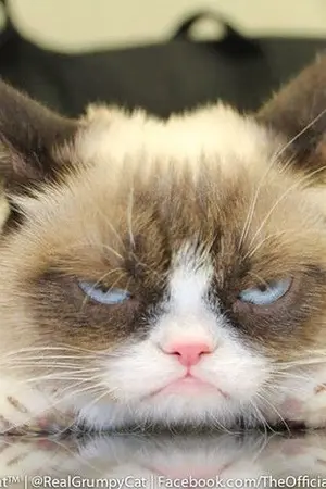 ปกนิยาย [TFBOYS] WANG JUNKAI ♡ WANGYUAN - จีบ KAIYUAN