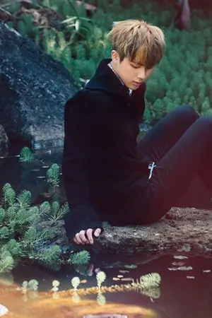 ปกนิยาย [BTS] Bring Me To Life (Namjin)