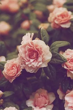 ปกนิยาย (BTS)_WAREHOUSE_ [SF/OS]