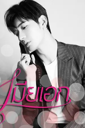 ปกนิยาย เมียเอก