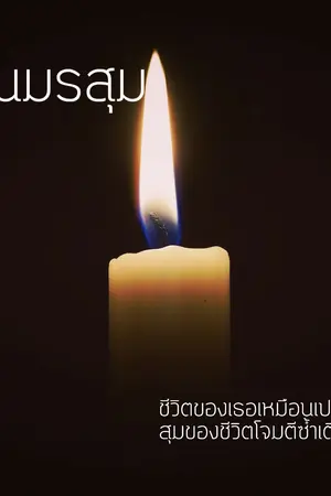 ปกนิยาย