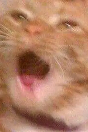 ปกนิยาย Boy lovely ตัวร้ายกับระบบในนิยายวาย