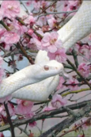 ปกนิยาย [BNior] The Thousand Years Before This Time : ลิขิตรัก พันปี (Up! ตอนพิเศษ : Babysitting)