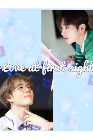 ปกนิยาย [PepiGyeom] LOVE AT FIRST SIGHT