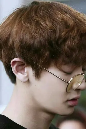 ปกนิยาย Angus Wish | Chansoo