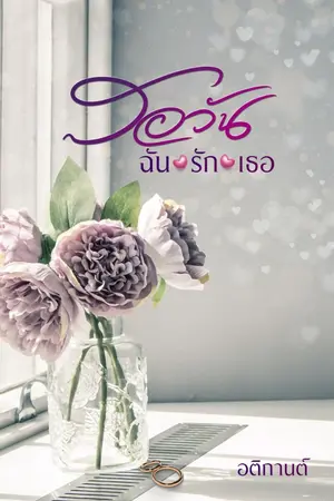 ปกนิยาย