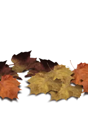 ปกนิยาย [ FIC ] JOHNTEN :: Unique one