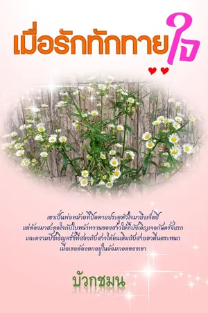 ปกนิยาย เมื่อรักทักทายใจ