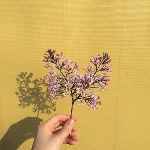 ปกนิยาย Honey | Kaido