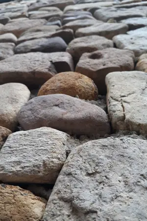 ปกนิยาย Brother ตระกูลแห่งการแก้แค้น