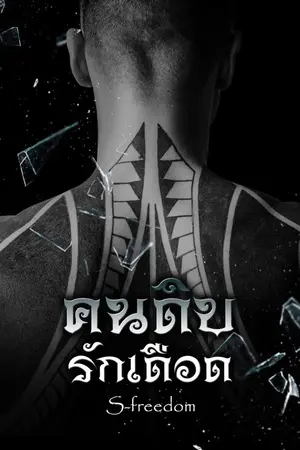 ปกนิยาย