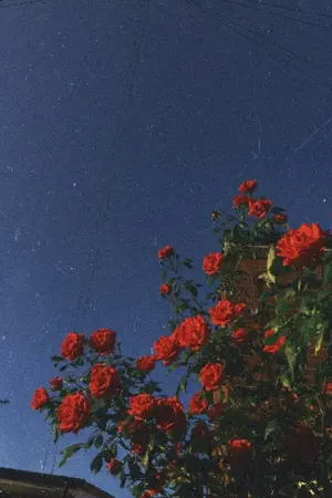 ปกนิยาย พี่รหัสที่รัก my darling💗