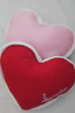 ปกนิยาย ทดสอบ ลงค่ะ