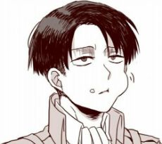 ปกนิยาย [OS/SF] Levi x reader