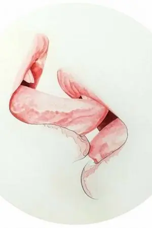 ปกนิยาย (exo) kiss chuu ♡ l chanbaek