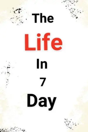 ปกนิยาย [The Life In 7 Day] 7 วันในช่วงชีวิตสุดท้าย