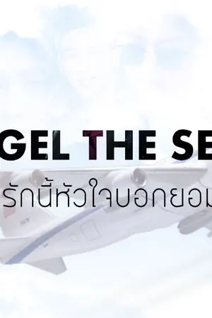 ปกนิยาย AIMNAM - Angel The Series รักติดปีก / คุณกัปตันที่รัก / รักนี้หัวใจบอกยอม