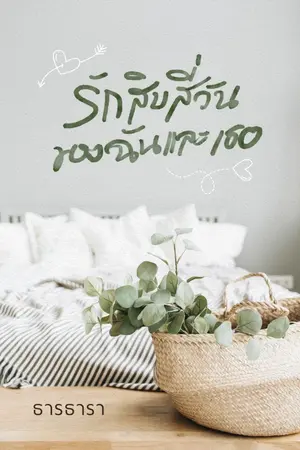 ปกนิยาย รักสิบสี่วันของฉันและเธอ