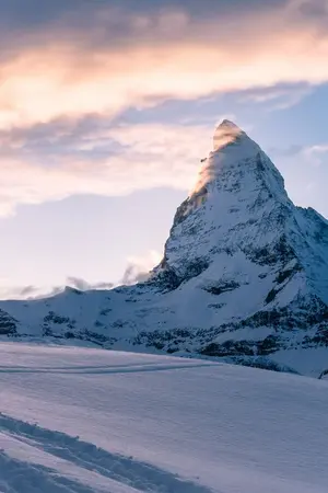 ปกนิยาย [ WONDERLAND ]  MINWON end